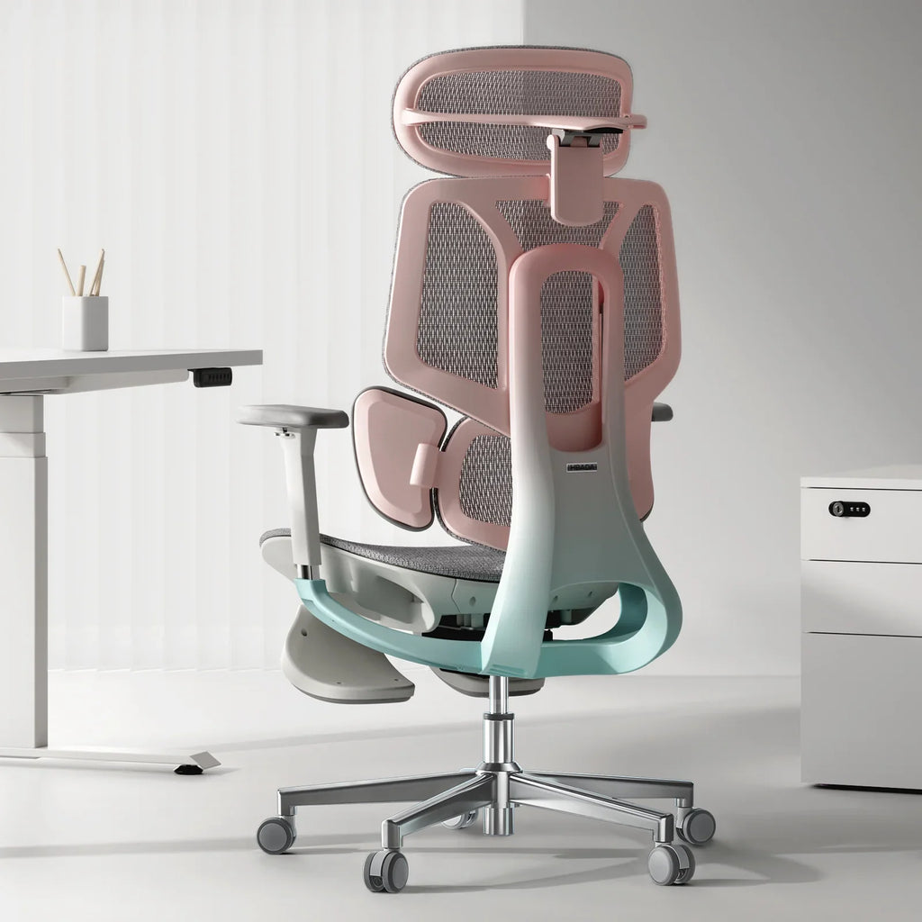 Ergonomic Office Chair Hbada E3 Pro