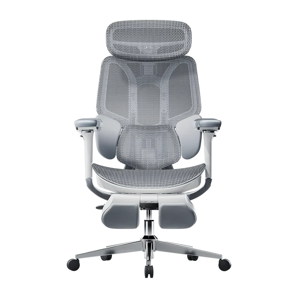 Ergonomic Office Chair Hbada E3 Pro