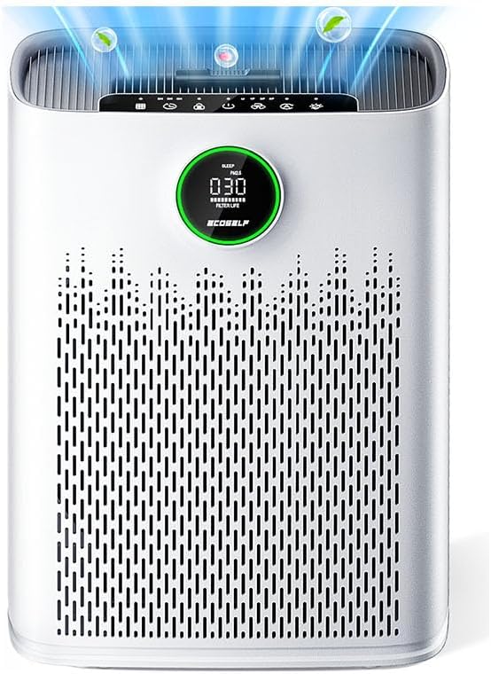 Air Purifiers with True HEPA Filter