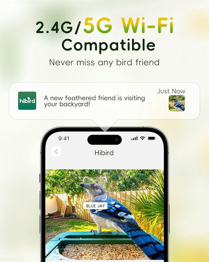 Comedero inteligente 4K HD para pájaros con cámara