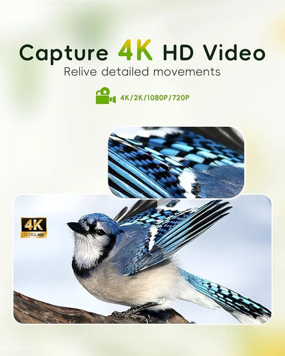 Comedero inteligente 4K HD para pájaros con cámara